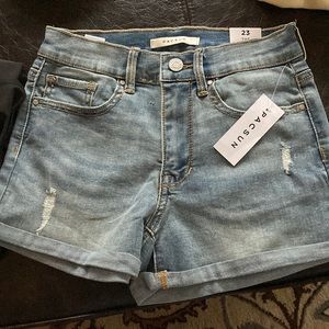 PacSun “the shortie” shorts size 23 never have been worn!
